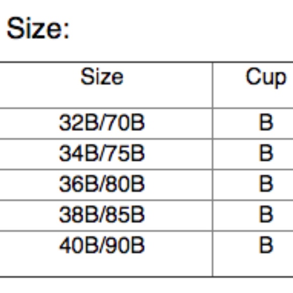 Push Up Deep "V" Padded Lace Bra - Picture 2 of 2